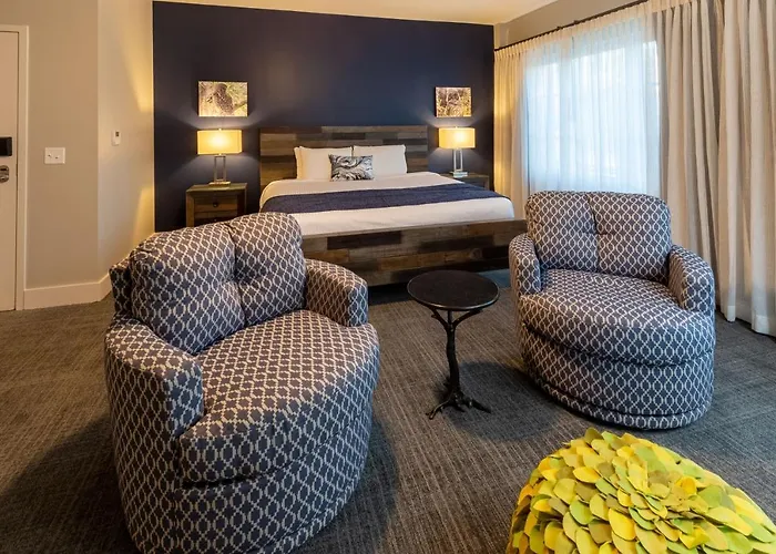 The Residences At Biltmore - Asheville