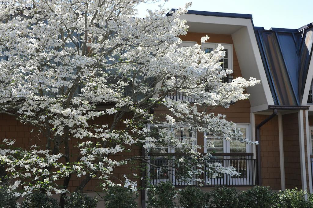 The Residences At Biltmore - 2* Asheville
